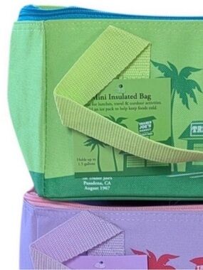 Trader Joe’s Mini Insulated Bag - Green